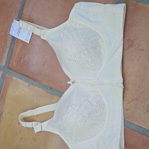 Elegant Cream Lace Women's Bra
